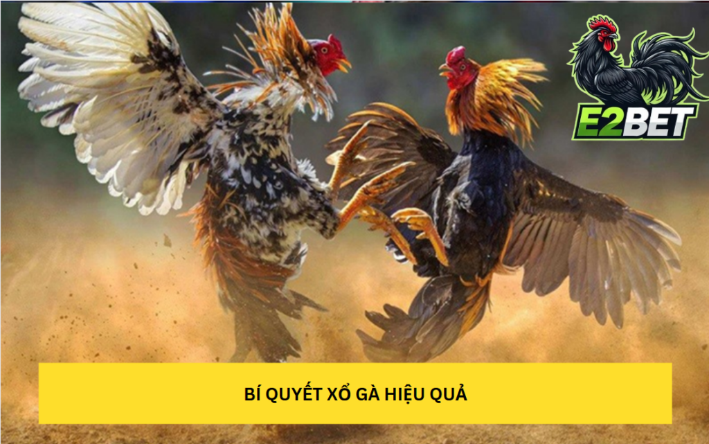 Mục đích của việc xổ gà tại E2bet