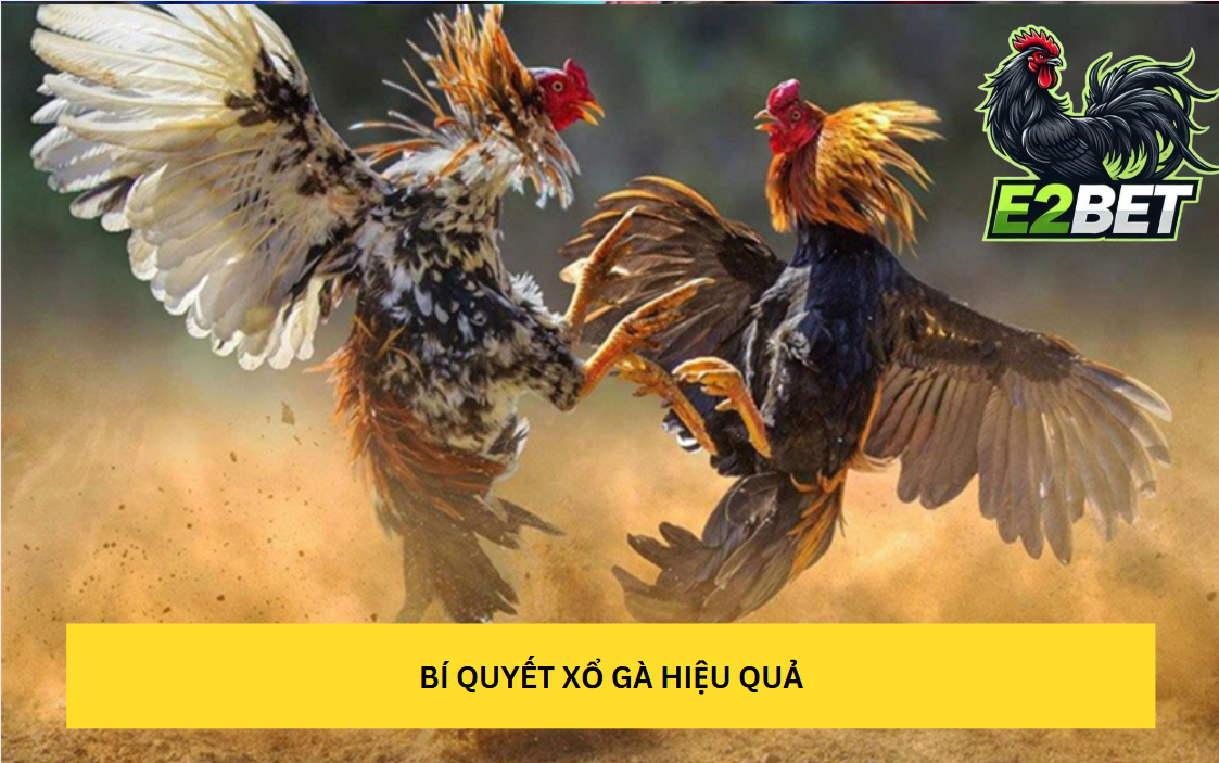 Mục đích của việc xổ gà tại E2bet